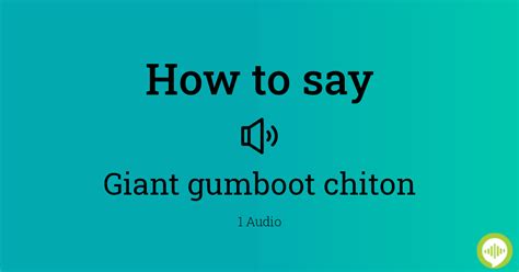 gumboots pronunciation